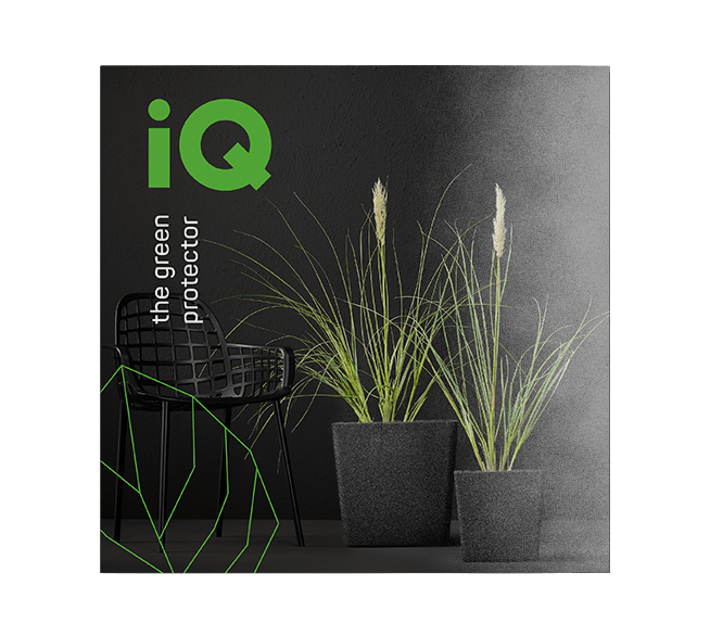iq-brochure
